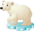 Cartoon polar bear sitting on floe Royalty Free Stock Photo