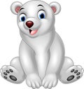 Cartoon polar bear sitting Royalty Free Stock Photo