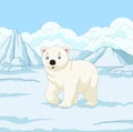 Cartoon polar bear in snowfield Royalty Free Stock Photo