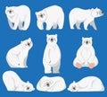 Cartoon polar bear. White bears, arctic wild animal and snow bear isolated vector illustration Royalty Free Stock Photo