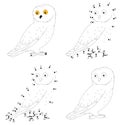 Cartoon polar owl for babies. Coloring book and dot to dot game