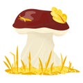 Cartoon porcini mushroom on grass, autumn fungus with leaves. Forest collectible edible boletus vector illustration