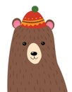 A cartoon portrait of a bear. Stylized grizzly bear in hat. Forest inhabitant. Art for children. Picture for the