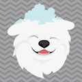 A cartoon portrait of a white dog with snow on his head. Happy dog head. Symbol of the new year. Vector illustration for