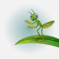 Cartoon praying mantis on leaf Royalty Free Stock Photo