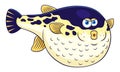 Cartoon puffer fish