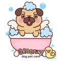 Cartoon Pug Bath Vector Dog Groomer For Pet Grooming Logo With Duck Toy