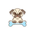 Cartoon pug, Cute Dog with a bone. Bulldog, pug-dog line thin icon, Vector colorful illustration