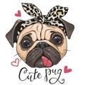 Cartoon Pug Dog in a leopard scarf