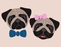 Cartoon pugs. Girl and boy