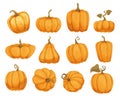 Cartoon pumpkin flat icons set. Orange and yellow autumn pumpkins. Different shapes and sizes of pumpkin or gourd
