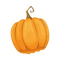 Cartoon pumpkin icon. Orange and yellow autumn pumpkin. Large gourd vegetable. Farm harvest vegetable fresh and tasty