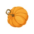 Cartoon pumpkin icon. Orange and yellow autumn pumpkin. Large gourd vegetable. Farm harvest vegetable fresh and tasty