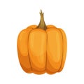 Cartoon pumpkin icon. Orange and yellow autumn pumpkin. Large gourd vegetable. Farm harvest vegetable fresh and tasty