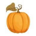 Cartoon pumpkin icon. Orange and yellow autumn pumpkin. Large gourd vegetable. Farm harvest vegetable fresh and tasty