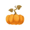 Cartoon pumpkin icon. Orange and yellow autumn pumpkin. Large gourd vegetable. Farm harvest vegetable fresh and tasty