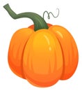 Cartoon pumpkin icon. Organic autumn squash crop