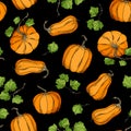 Cartoon pumpkin seamless pattern. Autumn vegetable vector illustration. Bright orange pumpkin with leaves on black background for Royalty Free Stock Photo