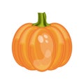 Cartoon pumpkin vegetable vector illustration Royalty Free Stock Photo
