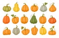 Cartoon pumpkins, halloween squash, fall harvest gourds. Pumpkins, squash and leaves vector symbols illustrations. Autumn Royalty Free Stock Photo