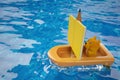 A cartoon puppy in a pencil and book boat,3D rendering.