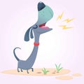 Cartoon Purebred Dachshund. Vector illustration.