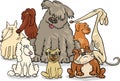 Cartoon purebred dogs group Royalty Free Stock Photo