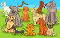 Cartoon purebred dogs and puppies characters group Royalty Free Stock Photo