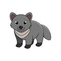 Cartoon quoll character illustration on a white background design Royalty Free Stock Photo