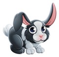 Cartoon Rabbit Animal Character