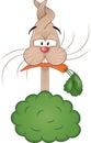 Cartoon rabbit with carrot Royalty Free Stock Photo