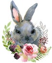 Cartoon rabbit collection. forest animal illustration. cute watercolor hare