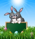 Cartoon rabbit couples holding green chalkboard in the grass Royalty Free Stock Photo