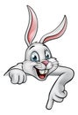 Cartoon Rabbit or Easter Bunny Royalty Free Stock Photo
