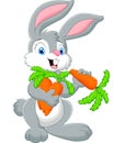 Cartoon rabbit holding a carrot Royalty Free Stock Photo