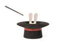 Cartoon rabbit magician, 3D illustration.