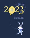 Cartoon Rabbit. 2023. Merry Christmas. New Year. Rabbit symbol of 2023. Chinese calendar. Royalty Free Stock Photo