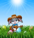 Cartoon rabbit mexican playing guitar and singing in the grass