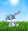 Cartoon rabbit sitting in the grass on a background of bright sunshine