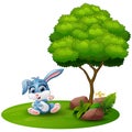 Cartoon rabbit sitting under a tree on a white background Royalty Free Stock Photo