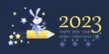 Cartoon Rabbit. Space. 2023. Merry Christmas. New Year. Rabbit symbol of 2023. Chinese calendar. Royalty Free Stock Photo