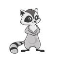 Cartoon raccoon