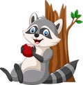 Cartoon raccoon eating a red apple