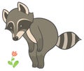 Cartoon raccoon looks at flower