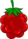 Cartoon Raspberry Fruit