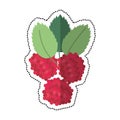 Cartoon raspberry natural diet icon