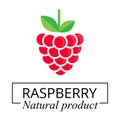 Cartoon raspberry with text