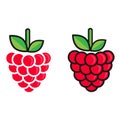 Cartoon raspberry vector