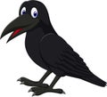 Cartoon raven isolated on white background