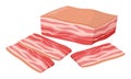 Cartoon raw bacon. Pork red bacon slices, smoked bacon or salty salo rashers flat vector illustration on white background